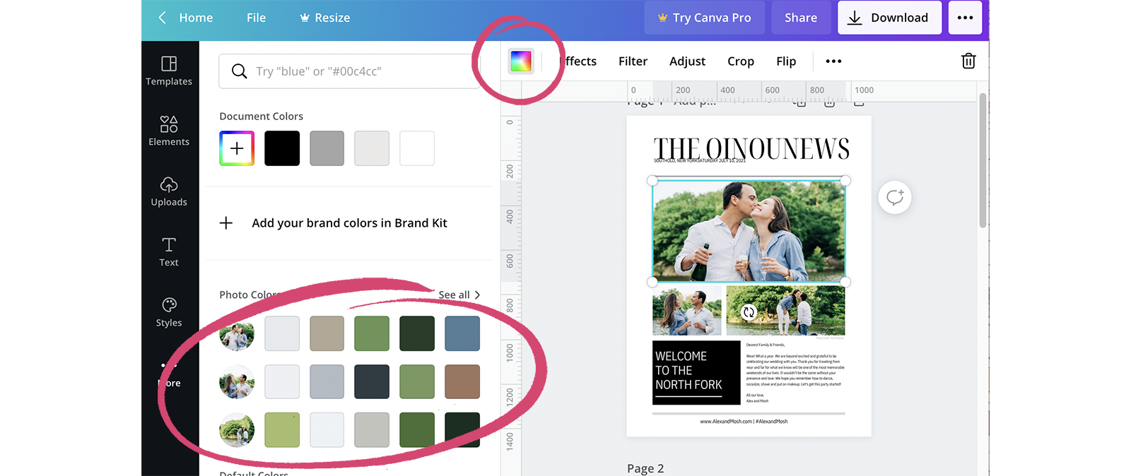 colour palette